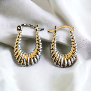 Orecchini in argento .925